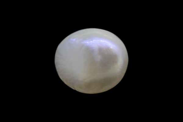1.1 cts Natural Pearl (Moti)