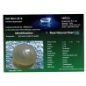 HIRCO Enterprises Pvt Ltd Report for 1.1 cts Natural Pearl (Moti)