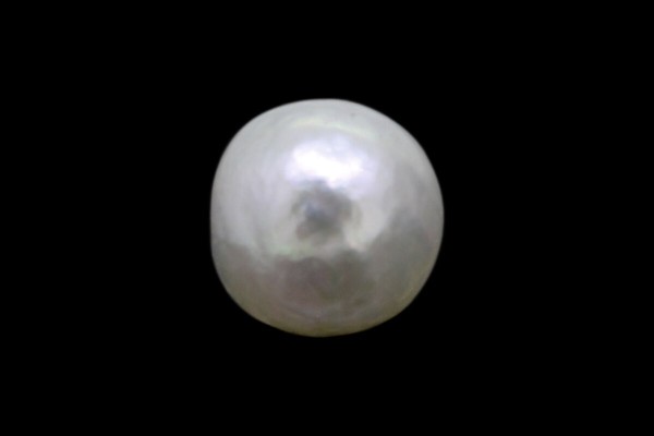 .83 ct Natural Pearl (Moti)