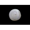 .83 ct Natural Pearl (Moti)
