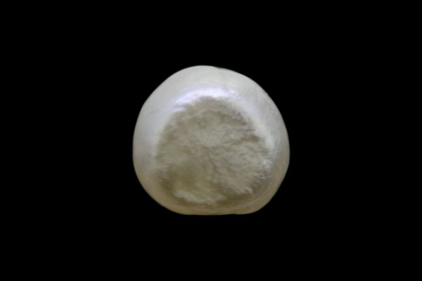 .86 ct Natural Pearl (Moti)