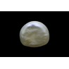 .6 ct Natural Pearl (Moti)
