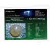 HIRCO Enterprises Pvt Ltd Report for .6 ct Natural Pearl (Moti)