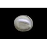 .83 ct Natural Pearl (Moti)