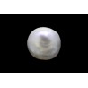 .75 ct Natural Pearl (Moti)