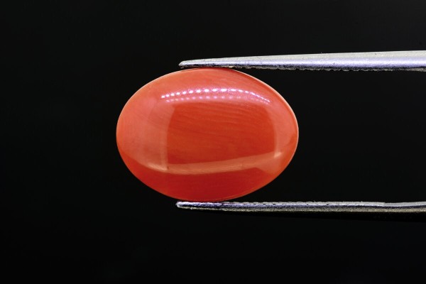 3.46 cts Natural Coral (Moonga)