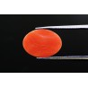 3.46 cts Natural Coral (Moonga)