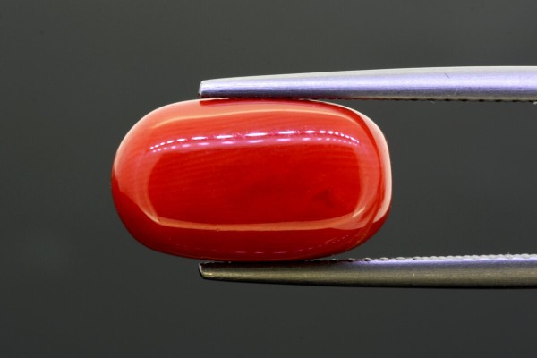 6.53 cts Natural Coral (Moonga)