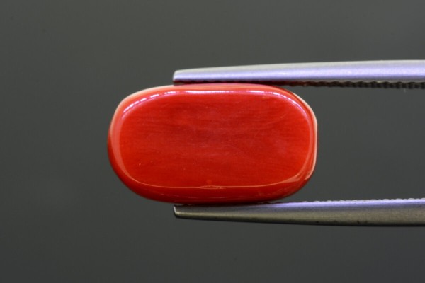 6.53 cts Natural Coral (Moonga)