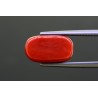 6.53 cts Natural Coral (Moonga)