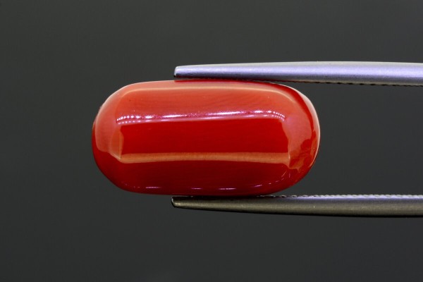 8.12 cts Natural Coral (Moonga)