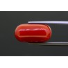 8.12 cts Natural Coral (Moonga)