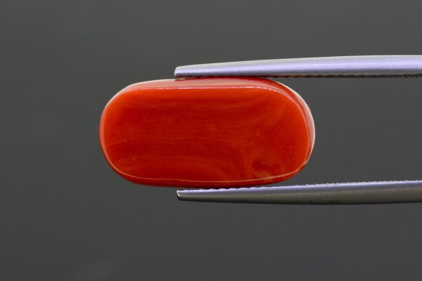 8.12 cts Natural Coral (Moonga)