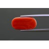 8.12 cts Natural Coral (Moonga)
