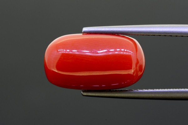 7.94 cts Natural Coral (Moonga)