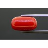 7.94 cts Natural Coral (Moonga)