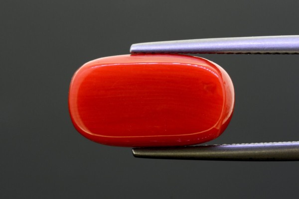 7.94 cts Natural Coral (Moonga)