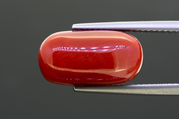 8.93 cts Natural Coral (Moonga)