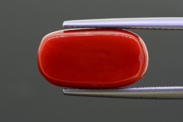8.93 cts Natural Coral (Moonga)