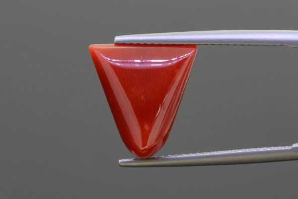 7.76 cts Natural Coral (Moonga)
