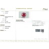 IIGJ Research & Laboratories | GJEPC Report for 2.92 cts Unheated Natural Ruby (Manikya)