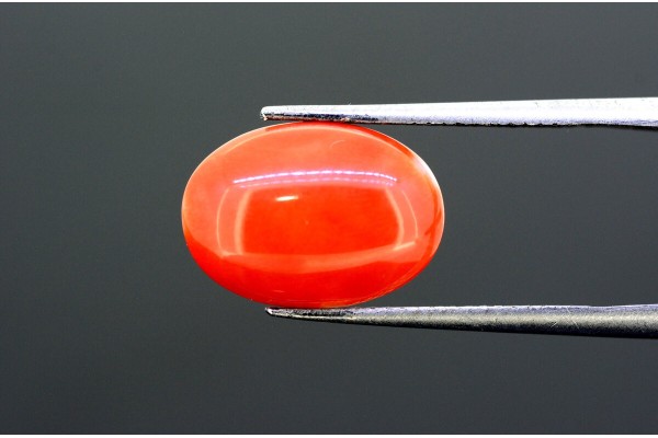 3.96 cts Natural Coral (Moonga)