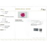 IIGJ Research & Laboratories | GJEPC Report for 4.31 cts Unheated Natural Ruby (Manikya) - Earring Pair