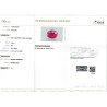  Report for 4.31 cts Unheated Natural Ruby (Manikya) - Earring Pair