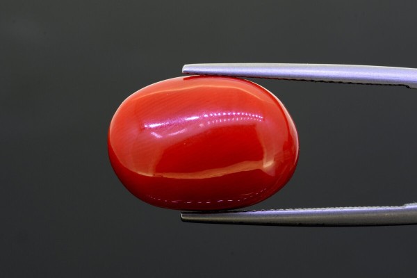 12.31 cts Natural Coral (Moonga)