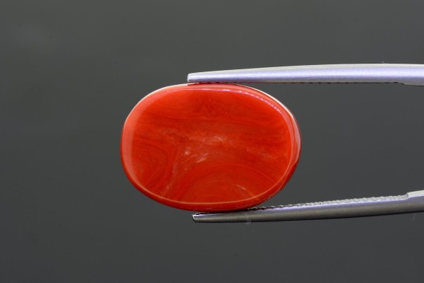 12.31 cts Natural Coral (Moonga)