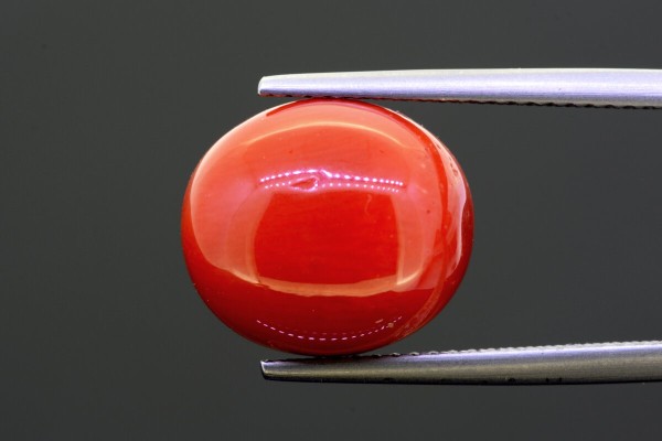 9.67 cts Natural Coral (Moonga)