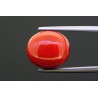 9.67 cts Natural Coral (Moonga)