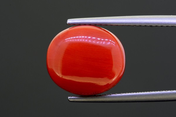 9.67 cts Natural Coral (Moonga)