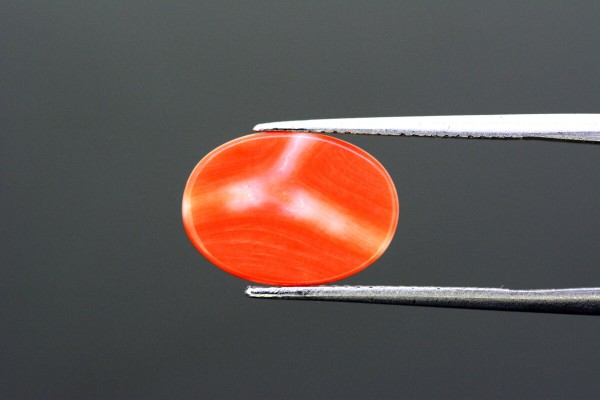 3.96 cts Natural Coral (Moonga)