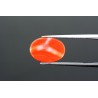 3.96 cts Natural Coral (Moonga)
