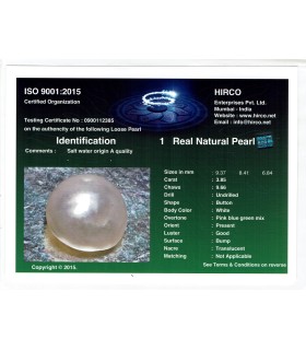 3.85 cts Natural Pearl - Moti (SKU:90140068)