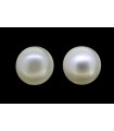 3.38 cts Natural Pearl (Moti) - Earring Pair