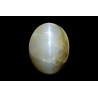 9.14 cts Natural Cats Eye (Lehsunia)