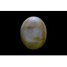 9.14 cts Natural Cats Eye (Lehsunia)