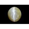 8.66 cts Natural Cats Eye (Lehsunia)