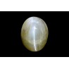 10.07 cts Natural Cats Eye (Lehsunia)