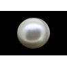 8.31 cts Cultured Pearl (Moti)