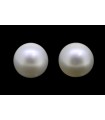1.57 cts Natural Pearl (Moti) - Earring Pair