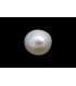 .88 ct Natural Pearl (Moti)