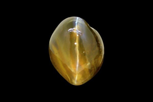 2.7 cts Natural Cats Eye (Lehsunia)
