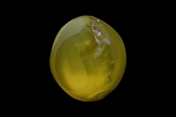 3.2 cts Natural Cats Eye (Lehsunia)