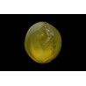 3.2 cts Natural Cats Eye (Lehsunia)