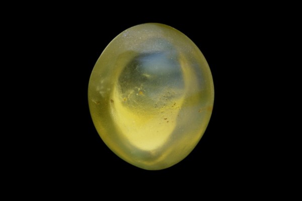 3.09 cts Natural Cats Eye (Lehsunia)