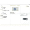 IIGJ Research & Laboratories | GJEPC Report for 7.36 cts Unheated Natural Blue Sapphire (Neelam)
