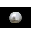 .74 ct Natural Pearl (Moti)